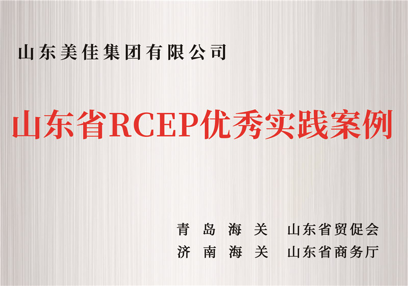 山東省RCEP優(yōu)秀實(shí)踐案例