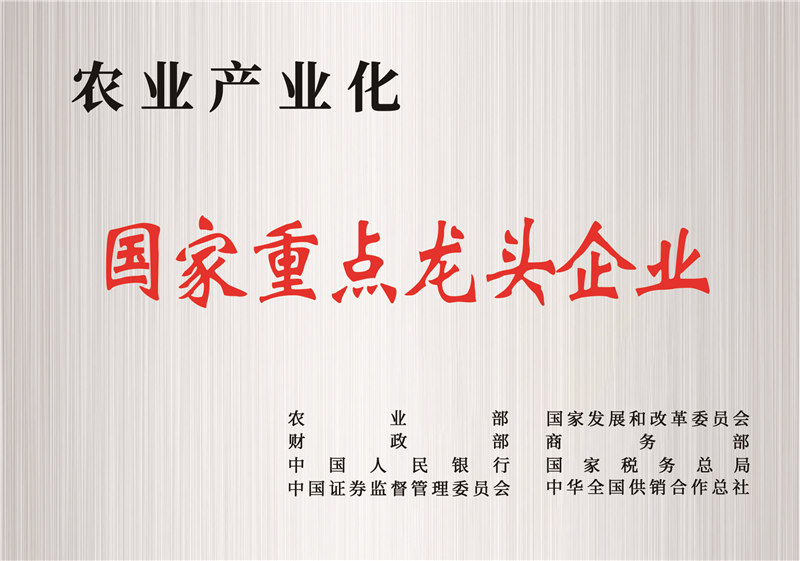 國(guó)家重點(diǎn)龍頭企業(yè)